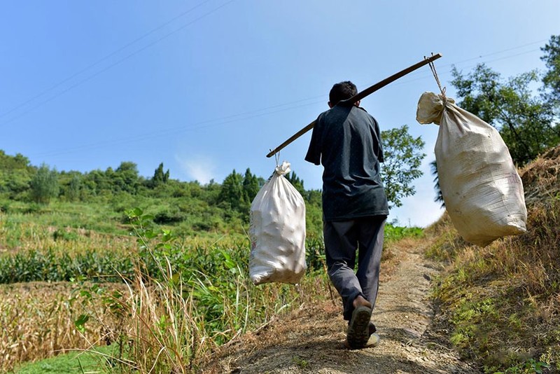 Anh dep mùa Vu Lan: Con cụt tay dung mieng xuc com cho me-Hinh-10